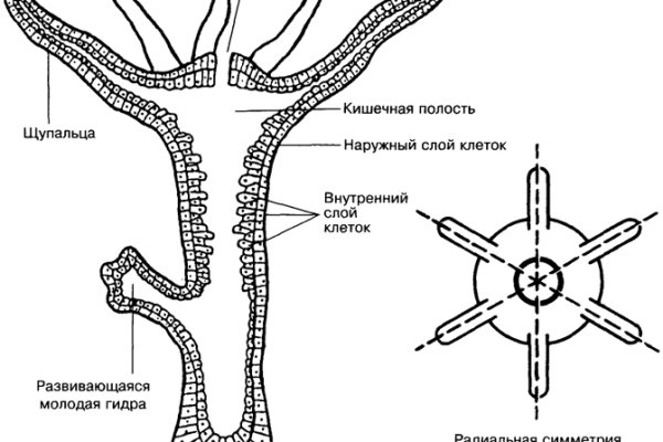 Bs gs ru официальный сайт